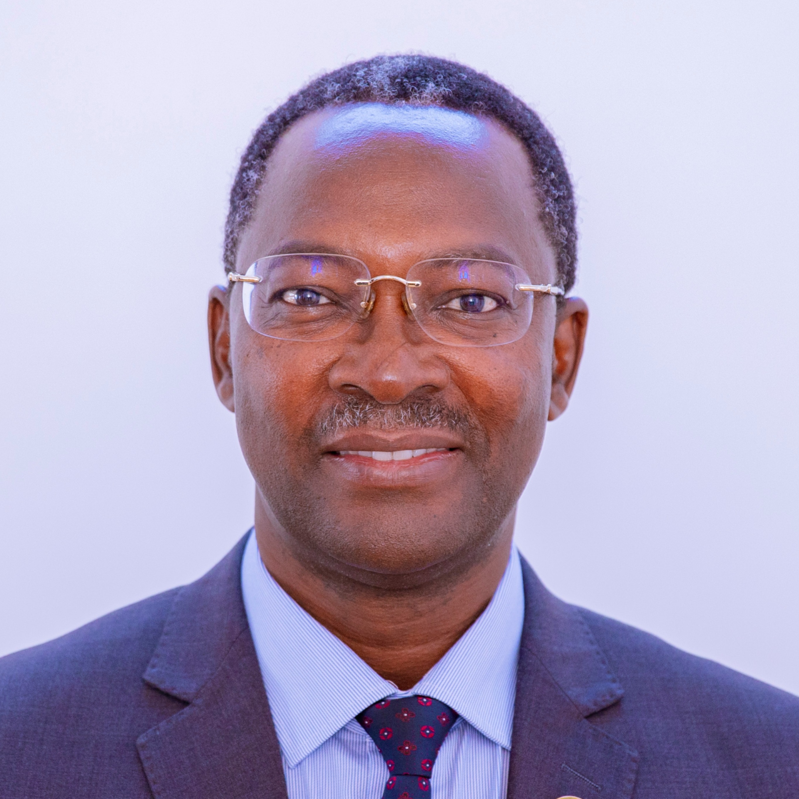 MHE. GEORGE BONIFACE SIMBACHAWENE